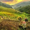 Southeast Asia tours - Thrilling Southeast Asia Adventure Tours