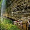 Ali Shan National Forest - 2 week holiday in taiwan