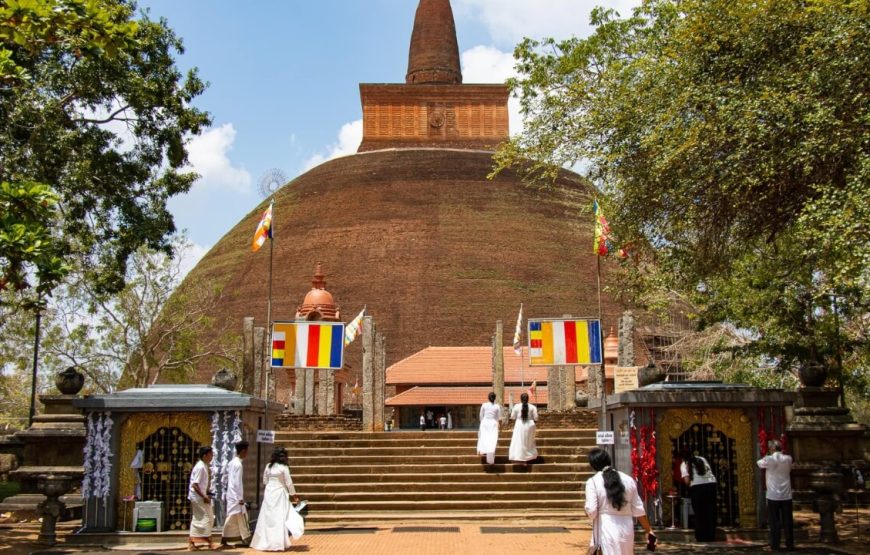 Epic History and Pristine Beaches in Sri Lanka – 16 Days