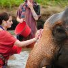 Baan Chang Elephant Park