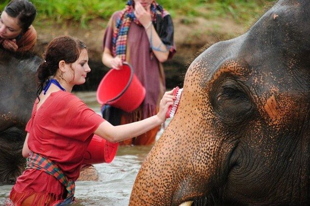 Baan Chang Elephant Park