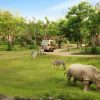 Bali Safari - bali family trip