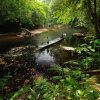 Batang Ai National Park - borneo jungle adventures