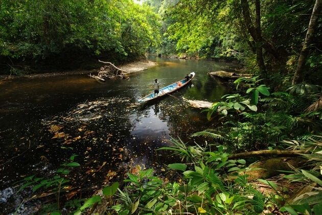 Batang Ai National Park - borneo jungle adventures