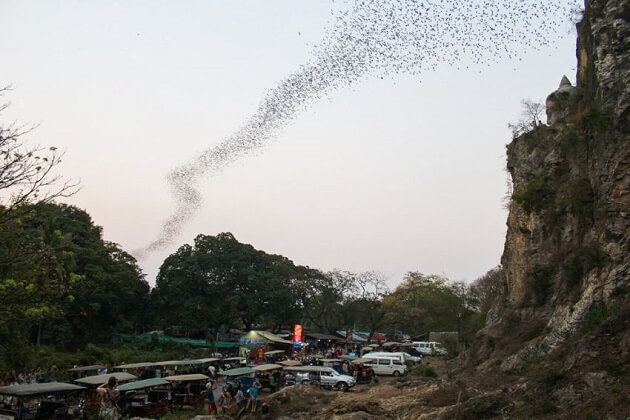 Battambang Bat Caves - cambodia vacation packages