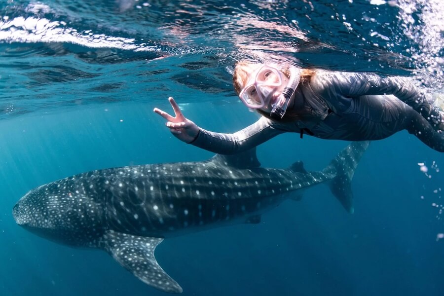 Kid-and-Whale-Shark Exclusive Tailored Asia Tour Experiences
