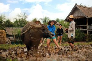 Best Time to Visit Laos - travel guide to laos