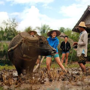 Best Time to Visit Laos - travel guide to laos