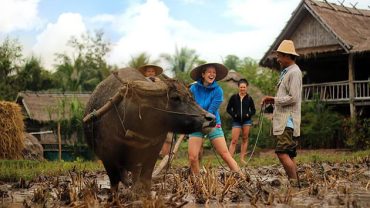 Best Time to Visit Laos - travel guide to laos