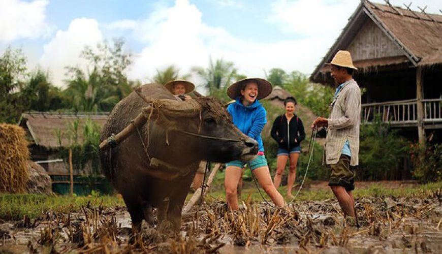Best Time to Visit Laos - travel guide to laos