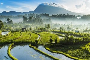 Best Time to Visit Southeast Asia – Good Season to Go
