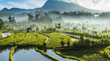 Best Time to Visit Southeast Asia – Good Season to Go