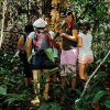 Borneo Rainforest Discovery – Malaysia tours