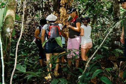 Borneo Rainforest Discovery – Malaysia tours