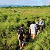 Chitwan National Park - bhutan nepal tibet tours