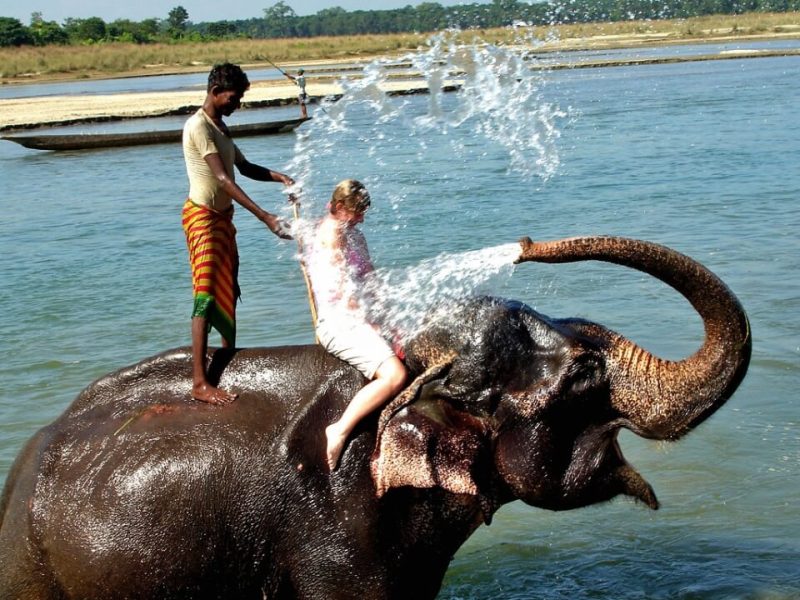 Chitwan National Park - multi-country asia tour packages 2025