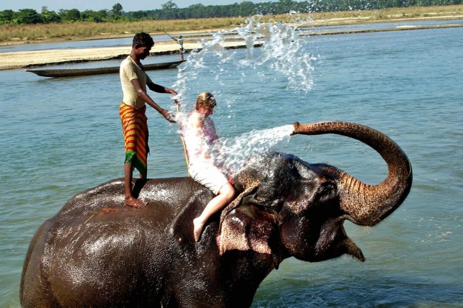 Chitwan National Park - multi-country asia tour packages 2025