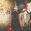 Cu Chi Tunnels - best tour to Vietnam Cambodia Laos