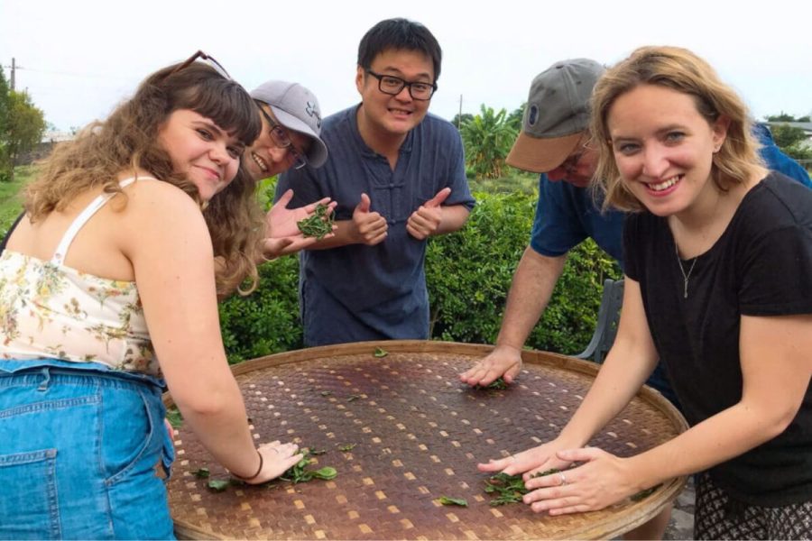 DIY tea making activities in taiwan tour package 12 days