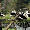 Dengsheng Gorge - china panda tours