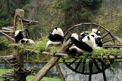 Dengsheng Gorge - china panda tours