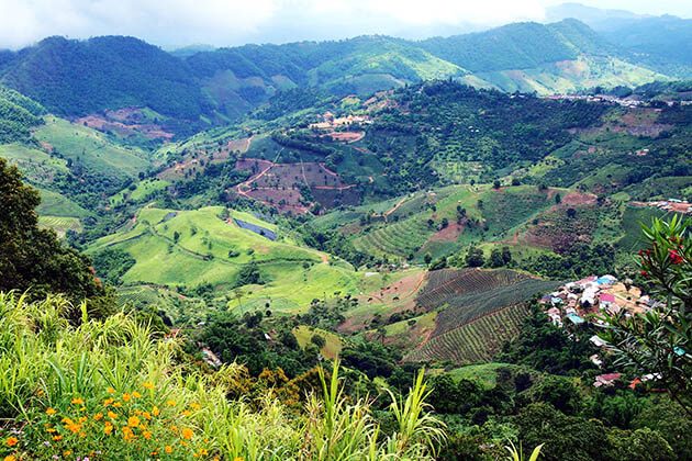 Doi Mae Salong