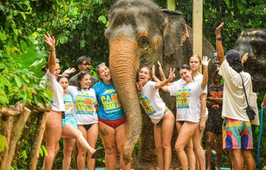 Best of Central and Northern Thailand – 7 Days