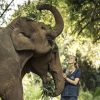 Elephant Camp - thailand 1 week holiday