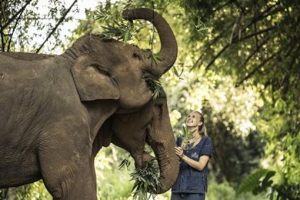 Elephant Camp - thailand 1 week holiday