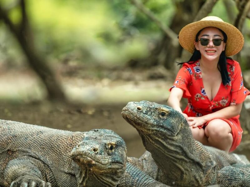 Exploring Komodo National Park in bali trip package - asia tours