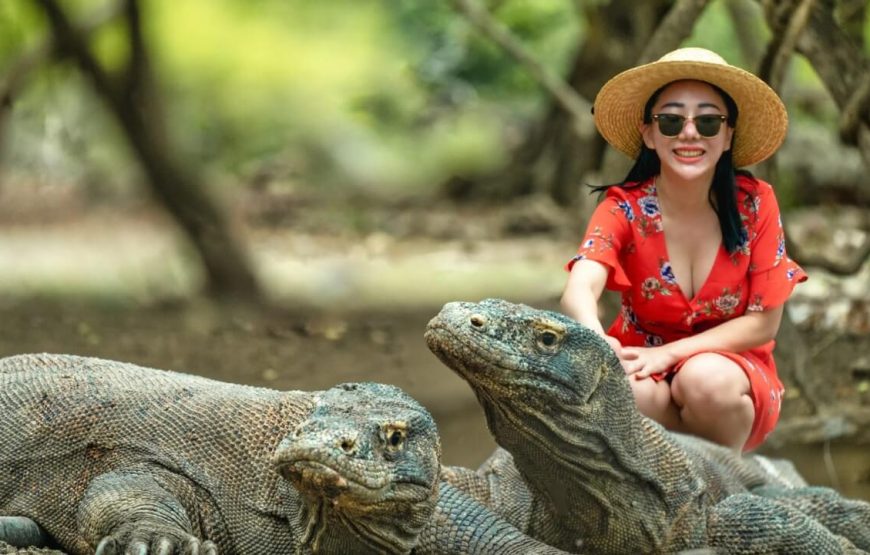 Bali Family Tour – 8 Days
