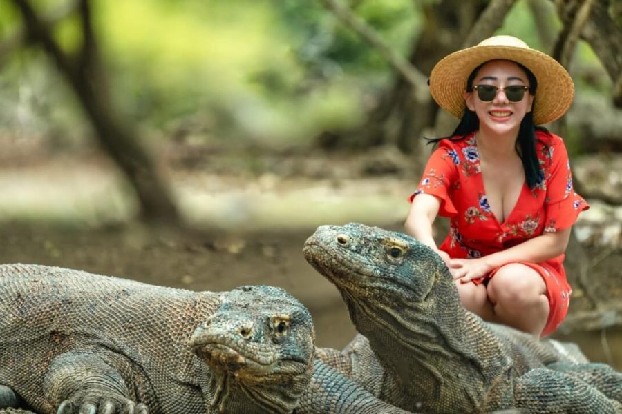 Exploring Komodo National Park in bali trip package - asia tours