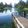 Forest Park of Taitung - 5 days taiwan classic tour