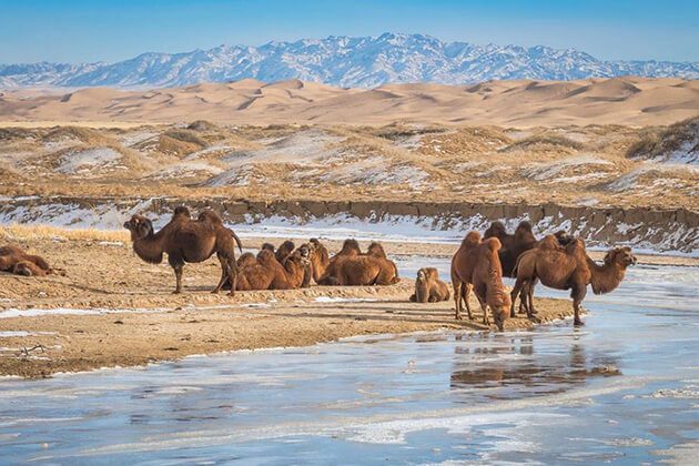 Gobi - china mongolia tours