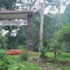 Gunung Leuser National Park