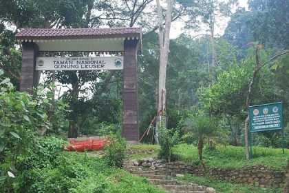 Gunung Leuser National Park