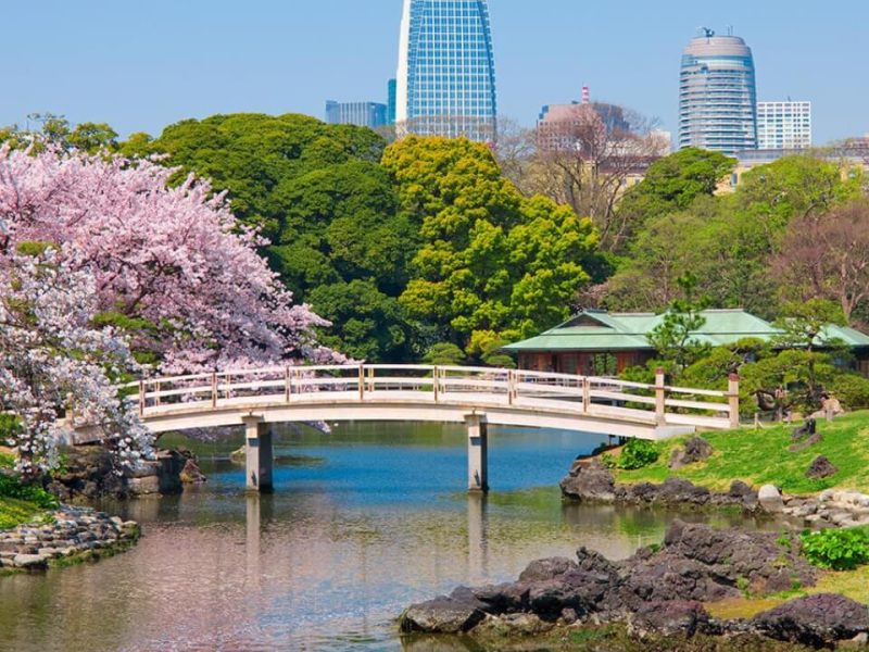 Hamarikyu garden in Tokyo Japan - asia tour packages