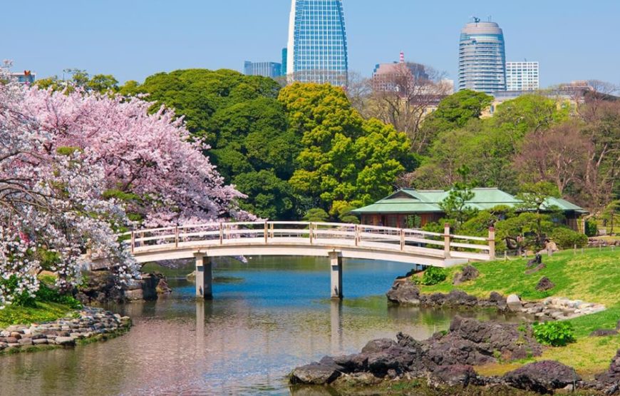 Highlights of Japan – 15 Days