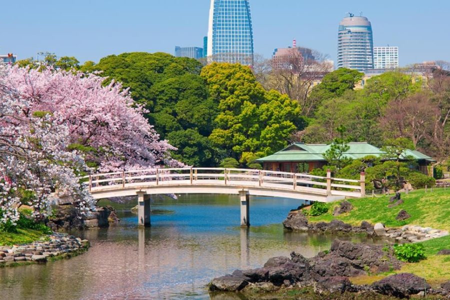 Hamarikyu garden in Tokyo Japan - asia tour packages