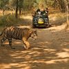 Indian Golden Triangle and Wildlife Tour – 10 Days