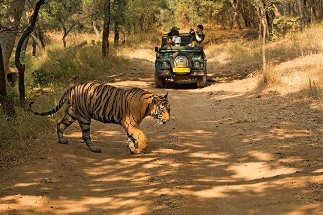 Indian Golden Triangle and Wildlife Tour – 10 Days