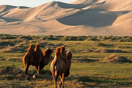 Khongoryn Els - china and mongolia tours