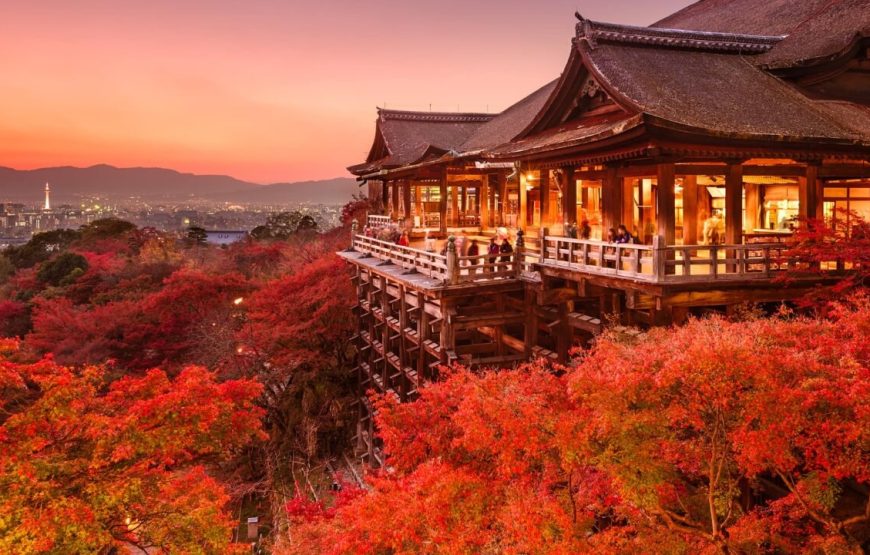Highlights of Japan – 15 Days