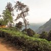 Little Adam’s Peak - 9 days adventure tours