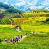 Mai Chau - indochina itinerary 3 weeks