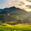 Mam Xoi hill area - vietnam adventure tours