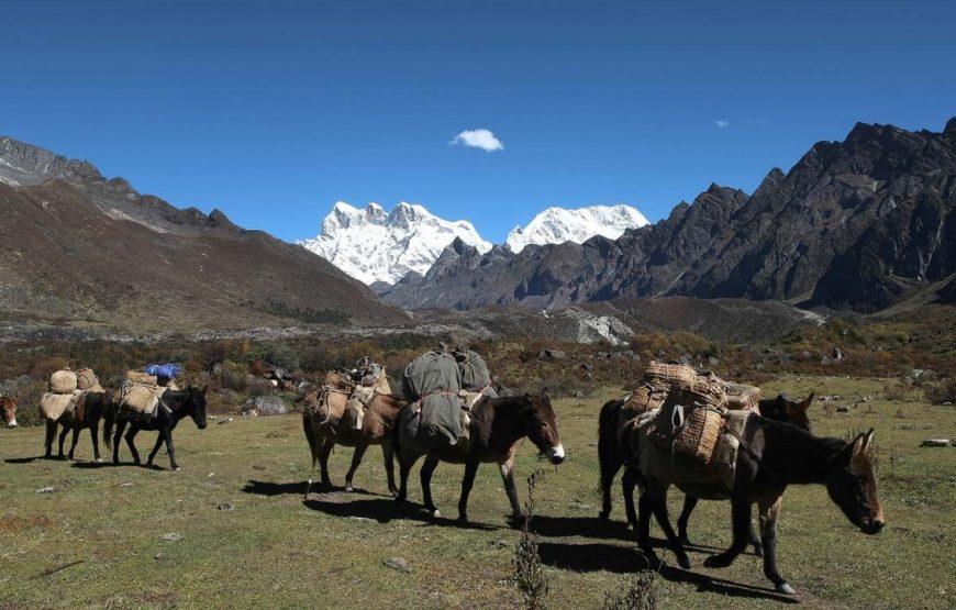 Wonderful Bhutan Nepal Tibet Tour – 18 Days