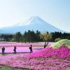 Mountain Fuji - japan 2 week route