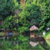 Nam Cat Tien National Park