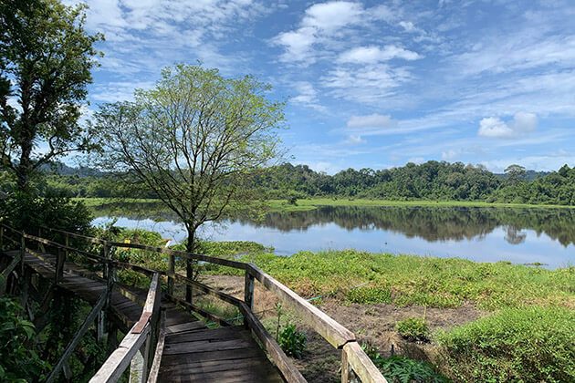 Nam cat tien national park - vietnam tour packages